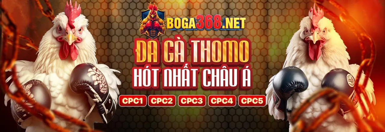 Các cấp độ VIP tại 55vin chính thức