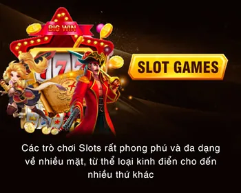 Hỗ Trợ Khách Hàng 55vin chính thức